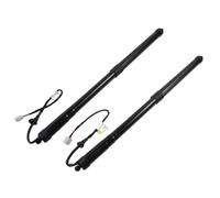 VBNYBA Vérins Hayon Électriques Compatible avec Lexus pour RX 350 RX 450h 2016 2017 2018 2019 1 Paire De Supports Électriques De Hayon, Accessoires 6891048071