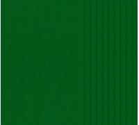 VBS Lot de 10 feutrines de bricolage 30x20cm 1,5mm Qualité forte Robuste Douceur Feutrine pour le bricolage DIY Feuilles de feutrine Plaques de feutrine Tissu non tissé Vert herbe