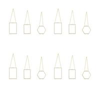 Vbsndhbde Cadres en Verre Suspendus Dorés - Fleurs Pressées & Objets Beaux | cadres de fleurs pressées - Emballage protecteur et chaîne dorée robuste pour une exposition et prête à accrocher