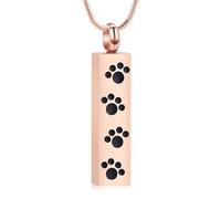 VCCWYQK Collier d'urne funéraire avec empreinte de patte pour cendres de chiens et de chats - Cadeau souvenir - Pendentif commémoratif pour les proches et les animaux de compagnie, Acier inoxydable
