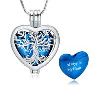 VCCWYQK Collier urne en forme de cœur pour cendres pour homme et femme, bijou funéraire, médaillon souvenir pour porte-cendres, One size, Acier inoxydable, Pas de pierre précieuse