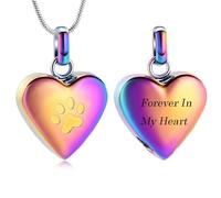 VCCWYQK Collier urne funéraire en acier inoxydable avec motif de patte de cœur pour cendres de chien et chat, Acier inoxydable, Pas de gemme