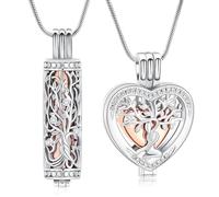 VCCWYQK Collier urne funéraire pour cendres avec fiole creuse cylindrique funéraire, médaillon commémoratif pour femme, homme, animal domestique, taille unique, Acier inoxydable, Pas de gemme