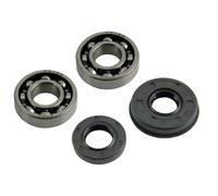 VCDXZCO Kit de roulement à billes rainuré for ZENOAH G2500, joint d'huile de vilebrequin, for tronçonneuse à poignée supérieure 2500, 25cc, 25,4 cc, Timberpro Carlton
