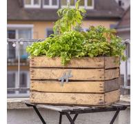 VCM Bois Herbier Cuisine Caisse de fruits rectangulaire, jardinière verticale pour jardin terrasse balcon cuisine - H. 30 x L. 50 x. P. 40 cm
