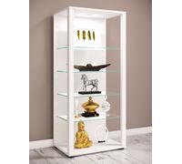 Vcm Bois Verre Vitrine De Collection Vitrine De Verre Vitrine De Stand Vitrine Glasol Lll