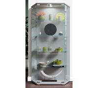 VCM Bois verre vitrine de collection vitrine de verre vitrine stand vitrine Cenila L Bois verre vitrine de collection vitrine de verre vitrine stand vitrine Cenila L Argenté