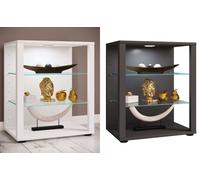 VCM Bois Verre vitrine de Collection vitrine de Verre vitrine Stand vitrine Glasol S Bois Verre vitrine de Collection vitrine de Verre vitrine Stand vitrine Glasol S Anthracite