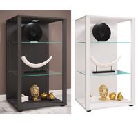 VCM Bois Verre vitrine de Collection vitrine de Verre vitrine Stand vitrine Glasol XL Bois Verre vitrine de Collection vitrine de Verre vitrine Stand vitrine Glasol XL Anthracite