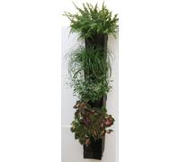 VCM Set de 4 bacs à plantes | Développement et fabrication en Allemagne | Dimensions H. 80 x L. 15 x P. 12 cm | Jardin mural - Bac à fleurs