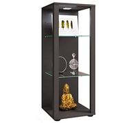 VCM Vitrine en Verre et Bois de Collection Stand Glasol M Anthracite