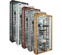 Vcm Vitrine Murale Vitrine Suspendue Vitrine En Verre Vitrosa Maxi Miroir Vitrine Murale Vitrine Suspendue Vitrine En Verre Vitrosa Maxi Miroir
