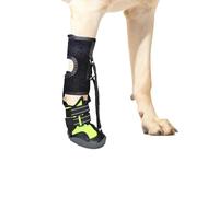 Vdaxvme Attelle de pied non articulée avec bobine pour chien Correcteur de chaussures pour chiens pour problèmes de pieds, amélioration de la marche sans jointure pour chien