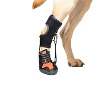 Vdaxvme Attelle de pied non articulée avec bobine pour chien Correcteur de chaussures pour chiens pour problèmes de pieds, amélioration de la marche sans jointure pour chien
