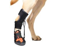 Vdaxvme Attelle de pied non articulée avec bobine pour chien Correcteur de chaussures pour chiens pour problèmes de pieds, amélioration de la marche sans jointure pour chien