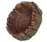 Vdaxvme Bassin d'eau pour Animaux Décortiqués d'alimentation Spacieuse pour Espèces Terrestres/Eau Et Lézards Tortues Bol De Bain Rampe Antidérapante