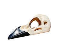 Vdaxvme Crâne amphibien texturé grimpant - Cachette sûre en résine pour lézards et herptiles - Cachette pour animaux domestiques rampants