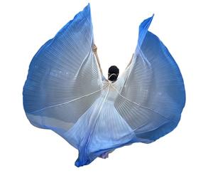 Vdaxvme Éventail de Danse Professionnel en Mousseline de Soie, 2 pièces, | Chiffons professionnels en soie avec poignées ergonomiques pour des représentations théâtrales et des mouvements