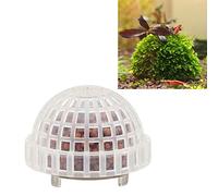 Vdaxvme Mousse Aquatique Minérale Naturelle pour Aquarium Cristal Crevette Rouge Poisson