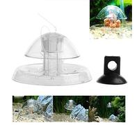 Vdaxvme Piège à escargots transparent pour aquarium, plantes planaires, piège à escargots pour aquarium, plante pour bassin