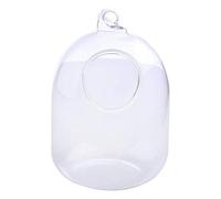 Vdaxvme Poisson suspendu en verre transparent pour réservoir bouteille aquarium fleur plante vase fleur pour décoration de la maison pour fleurs céramique blanc