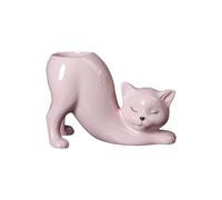 Vdaxvme Pot de fleurs en céramique charnue chaton pot de fleurs ornement pour plantes cactus récipient maison balcon décors chaton queue pot de fleurs