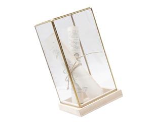 Vdaxvme Vitrine classique pour objets de collection, dômes en verre, décoration pour étagères et décors de bureau