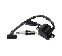 VDFNGFD Bobine d'allumage, Armature de magnéto Compatible avec Briggs & Stratton 54E177, 54E677, 61E177, 61E377, 61E477, 61G377, 61G477, 61G977, 846490, 84005190