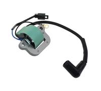 VDFNGFD Bobine d'allumage Compatible avec Les Moteurs Hors-Bord Johnson/Evinrude 9,9-15 CV (1974-1976), 40 (1974), 0581407, 0502880, 802356, 18-5196