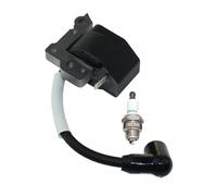 VDFNGFD Bobine d'allumage Compatible avec Tecumseh TC200 TC300 TCH200 TCH300 TM049XA 611056,611291