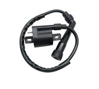 VDFNGFD Bobine d'allumage Compatible avec Yamaha Raptor YFM660 YFM660R Grizzly Rhino 660cc 2001-2005