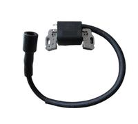 VDFNGFD Compatible avec 594456 594626 Armature-MAGN Bobine D'ALLUMAGE 21R702 21R707 33M777 31A707 21R877 21R807 21R777 31G777