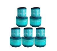 VDFNGFD Filtre Hepa for aspirateur Robot V11, V15, SV14, SV15, SV16, SV17, SV22, Detter Absolute V11, pièces détachées(5pcs)