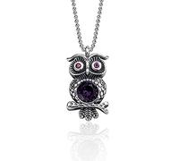 VDLLQYN, Collier Vintage en Argent Sterling S925 for Femmes, Hibou en détresse, Cristal délicat, Ras du Cou Tendance, chaîne délicate, Cadeau Bijoux for Ses Filles et Couples,Colliers