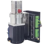 VDOQTLJT Pompes à eaux usées/effluents série NS, Mini Pompe Engrenages entraînement magnétique, for liquides Haute viscosité, Pression et température, 24 V CC, 120 W(0.4cc L Rev Set)