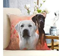 VducK Housses de coussin carrées rustiques et rustiques pour salon, 30,5 x 30,5 cm, motif labrador blanc