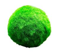 vdvelde․com - Boules de mousse Marimo 10 pièces, Aegagropila linnaei