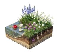 vdvelde.com - Bulbes de berge fleurs sauvages, 25 pièces en panier | Floraison de mars à juin pour les pollinisateurs, avec narcisse et camassia, espèces indigènes
