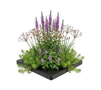 vdvelde․com - Île anti-moustiques 25x25 cm, 4 plantes de bassin