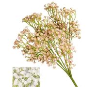 VEA SRL Groupe GR. GYPSO MIU55406