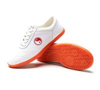 VEACAM Chaussures d'arts Martiaux pour Hommes et Femmes, Respirantes, Tai Chi Kung Fu, Baskets antidérapantes pour Exercice Occasionnel,A,44 EU