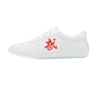 VEACAM Chaussures d'arts Martiaux pour Hommes/Femmes Cuir Respirant léger Tai Chi Kung Fu Chaussures d'entraînement antidérapantes WU Shu Taekwondo Trainer,Blanc,39 EU