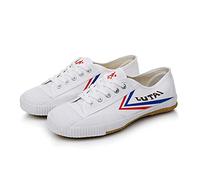 VEACAM Unisexe Martial Arts Chaussures Non-Slip Kung Fu Tai-Chi Entraîneurs Enfants Adultes Wushu Chaussures Toile Entraînement Quotidien Exercices Chaussures,Blanc,33