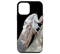 Vecteur d'insecte Cigale Coque pour iPhone 12 Mini