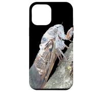 Vecteur d'insecte Cigale Coque pour iPhone 12 Pro Max