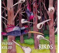Vedan Kolod – Birds – CD – Broken Silence