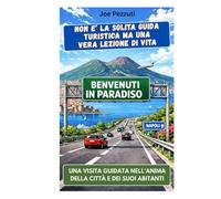 VEDI NAPOLI E POI… la ami: Perché Napoli non si visita: si impara ad amare.