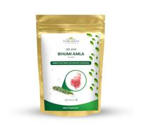 Vedikroots Bhumi Amla Poudre/baratte - Extrait d'ingrédients biologiques et purs pour un fonctionnement sain du foie et une force digestive | Enrichi en nutriments essentiels (100 g) (lot de 1)