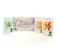 Veegreen coffret Mate Bio 3 saveurs : Nature - citron gingembre - menthe | 3x100gr | Set Maté, Idée Cadeau, Infusion énergisantes bio élaborée en france