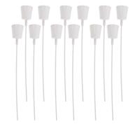 Veemoon 12 Boîtes d'emballage pour Plantes Fixateur De Bouquet Support pour Compositions De Succulentes Organisateur De Bouquets De Succulentes Présentoir pour Fleurs De